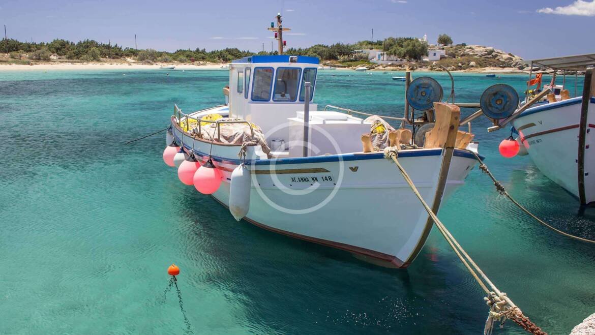 Bahama Divers Go Low